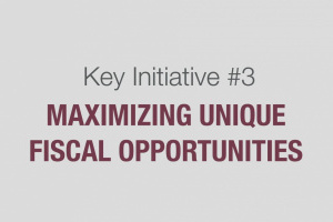 Maximizing Unique Fiscal Opportunities video