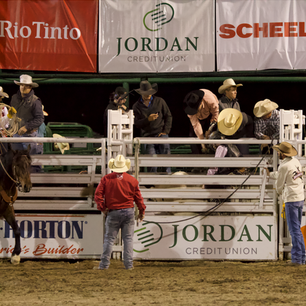 Marketing example rodeo
