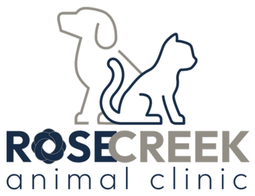 Rosecreek Animal Clinic