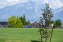 K-9 Memorial Dog Park park in Herriman City
