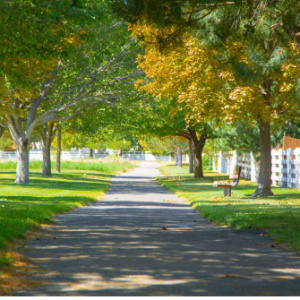 Rosalina Park park in Herriman City