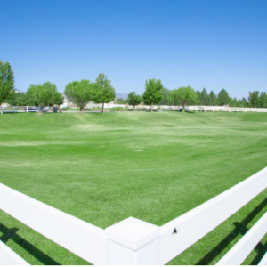 Rose Creek Subway Park park in Herriman City